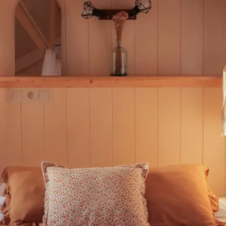 Charmante Cabane, Animaux Admis - 2 Pers. - Api-1-52-2621 Campsite