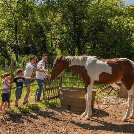 Campsite Charmante Cabane, Animaux Admis - 2 Pers. - Api-1-52-2621