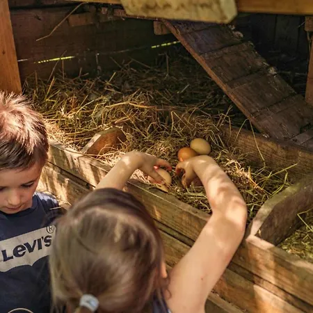 Charmante Cabane, Animaux Admis - 2 Pers. - Api-1-52-2621 Campsite *